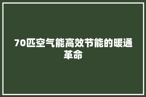 70匹空气能高效节能的暖通革命 综合便民