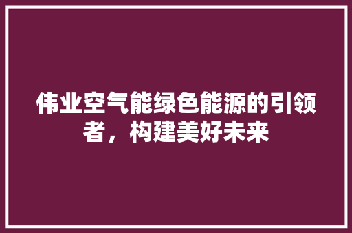 伟业空气能绿色能源的引领者，构建美好未来 家电维修