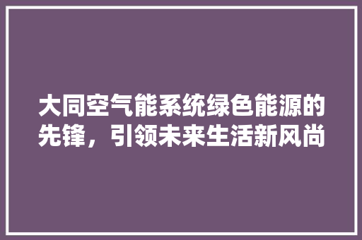 大同空气能系统绿色能源的先锋，引领未来生活新风尚
