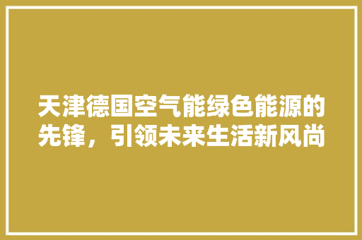 天津德国空气能绿色能源的先锋，引领未来生活新风尚