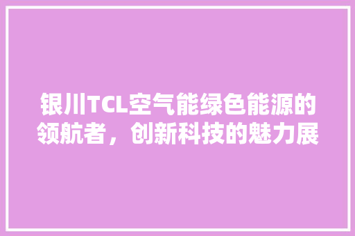 银川TCL空气能绿色能源的领航者，创新科技的魅力展现