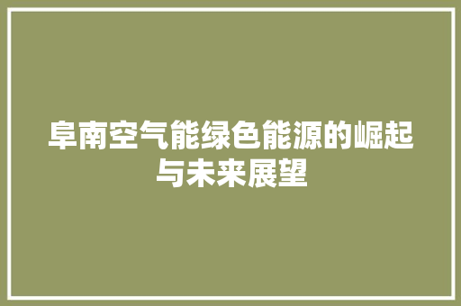 阜南空气能绿色能源的崛起与未来展望