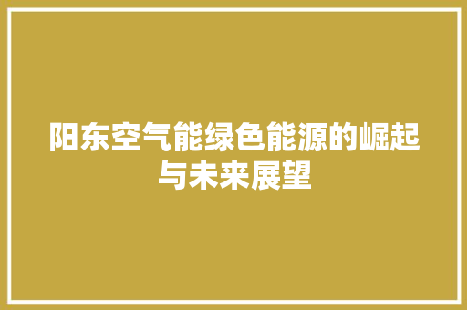 阳东空气能绿色能源的崛起与未来展望 墙体维修