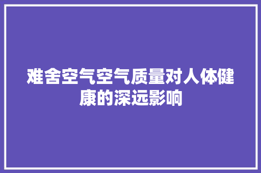 难舍空气空气质量对人体健康的深远影响