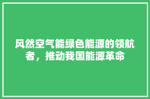 风然空气能绿色能源的领航者，推动我国能源革命