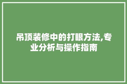 吊顶装修中的打眼方法,专业分析与操作指南 吊顶装修中的打眼方法,专业分析与操作指南 墙体维修