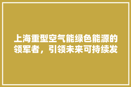 上海重型空气能绿色能源的领军者，引领未来可持续发展之路