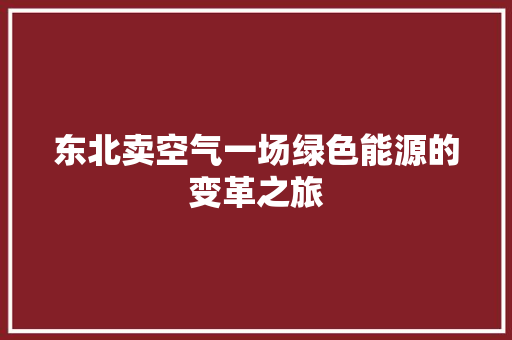 东北卖空气一场绿色能源的变革之旅 家电维修