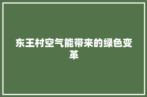 东王村空气能带来的绿色变革