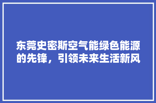东莞史密斯空气能绿色能源的先锋，引领未来生活新风尚