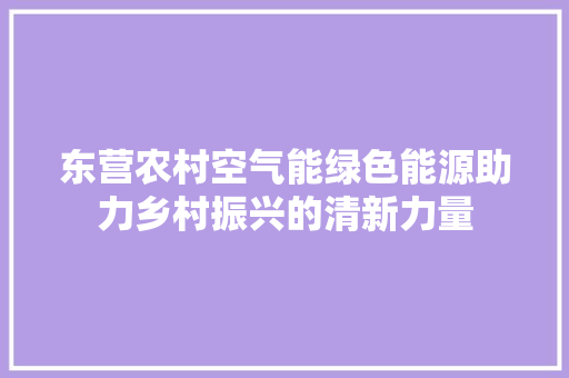 东营农村空气能绿色能源助力乡村振兴的清新力量
