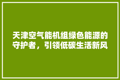 天津空气能机组绿色能源的守护者，引领低碳生活新风尚