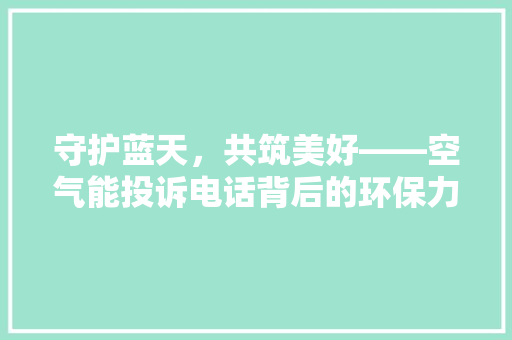 守护蓝天，共筑美好——空气能投诉电话背后的环保力量 家电维修