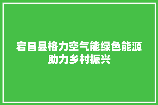 宕昌县格力空气能绿色能源助力乡村振兴 厨房维修