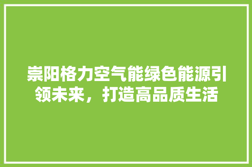 崇阳格力空气能绿色能源引领未来，打造高品质生活