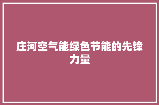 庄河空气能绿色节能的先锋力量