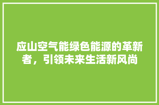 应山空气能绿色能源的革新者，引领未来生活新风尚