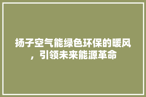 扬子空气能绿色环保的暖风，引领未来能源革命