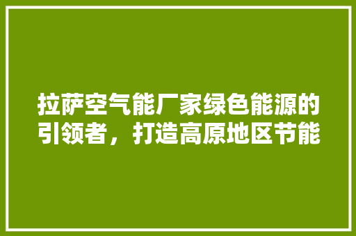 拉萨空气能厂家绿色能源的引领者，打造高原地区节能减排新典范