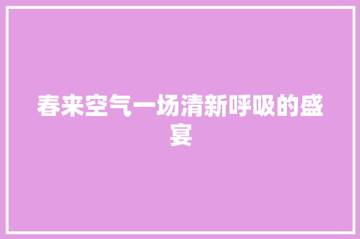 春来空气一场清新呼吸的盛宴 厨房维修