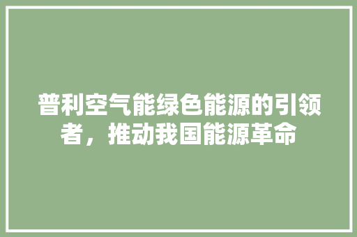普利空气能绿色能源的引领者，推动我国能源革命