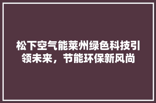 松下空气能莱州绿色科技引领未来，节能环保新风尚 综合便民