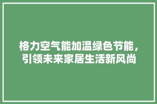 格力空气能加温绿色节能，引领未来家居生活新风尚