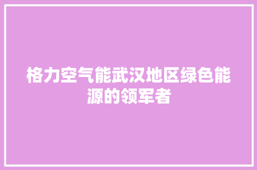 格力空气能武汉地区绿色能源的领军者 汽车维修