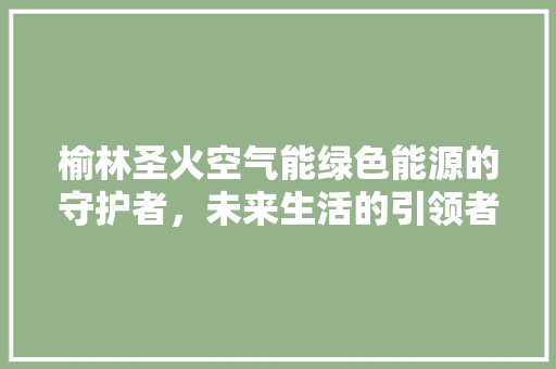 榆林圣火空气能绿色能源的守护者，未来生活的引领者