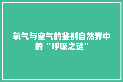 氧气与空气的鉴别自然界中的“呼吸之谜” 墙体维修