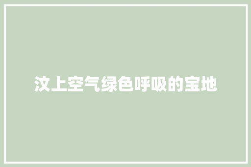 汶上空气绿色呼吸的宝地 综合便民