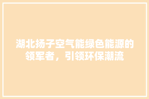湖北扬子空气能绿色能源的领军者，引领环保潮流