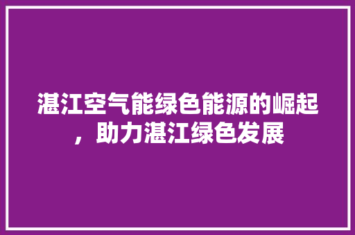 湛江空气能绿色能源的崛起，助力湛江绿色发展