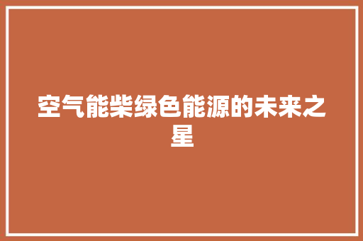 空气能柴绿色能源的未来之星