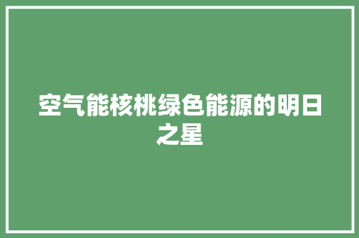空气能核桃绿色能源的明日之星