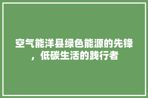 空气能洋县绿色能源的先锋，低碳生活的践行者