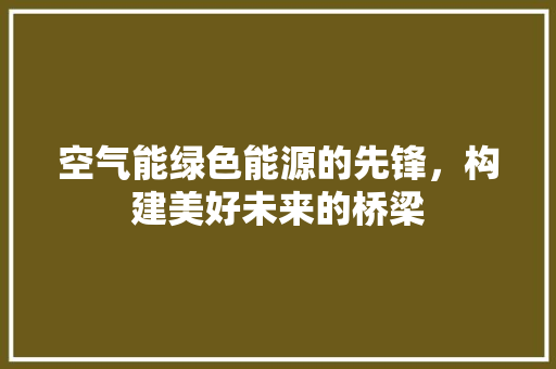 空气能绿色能源的先锋，构建美好未来的桥梁