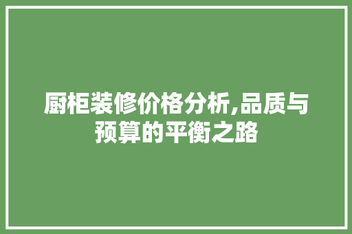 厨柜装修价格分析,品质与预算的平衡之路 厨柜装修价格分析,品质与预算的平衡之路 墙体维修