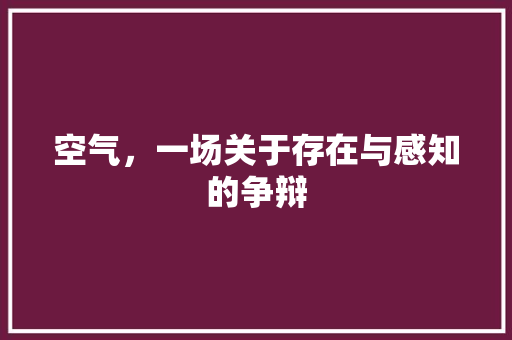 空气，一场关于存在与感知的争辩 家电维修