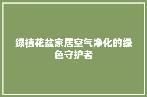 绿植花盆家居空气净化的绿色守护者