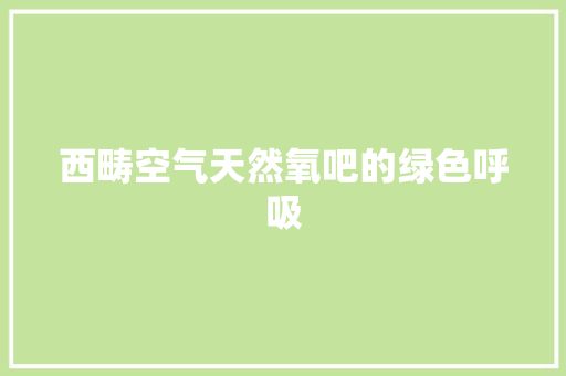 西畴空气天然氧吧的绿色呼吸 汽车维修