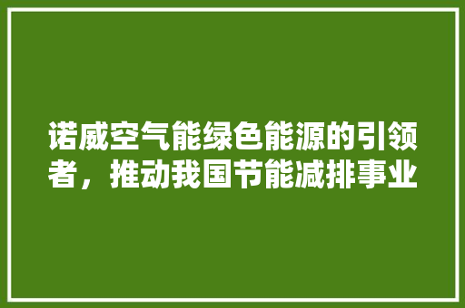 诺威空气能绿色能源的引领者，推动我国节能减排事业