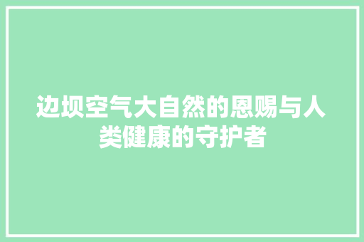 边坝空气大自然的恩赐与人类健康的守护者