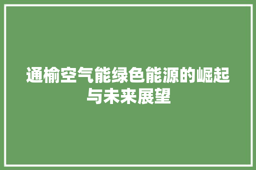 通榆空气能绿色能源的崛起与未来展望