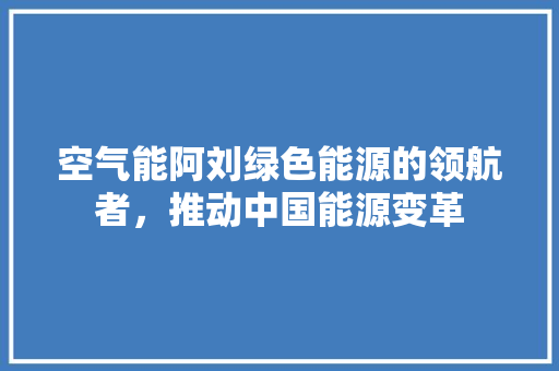 空气能阿刘绿色能源的领航者，推动中国能源变革 汽车维修