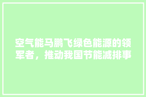 空气能马鹏飞绿色能源的领军者，推动我国节能减排事业 家电维修