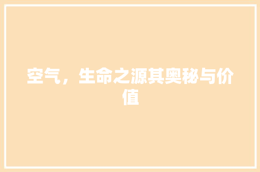 空气，生命之源其奥秘与价值