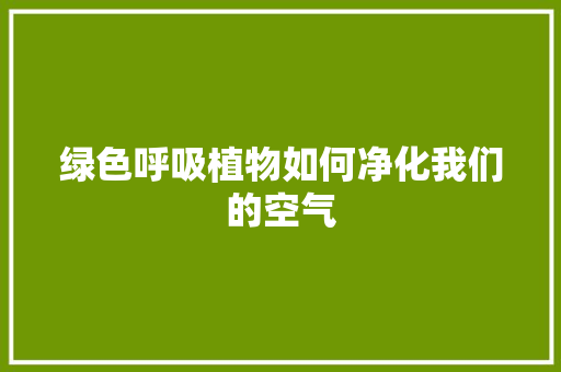 绿色呼吸植物如何净化我们的空气