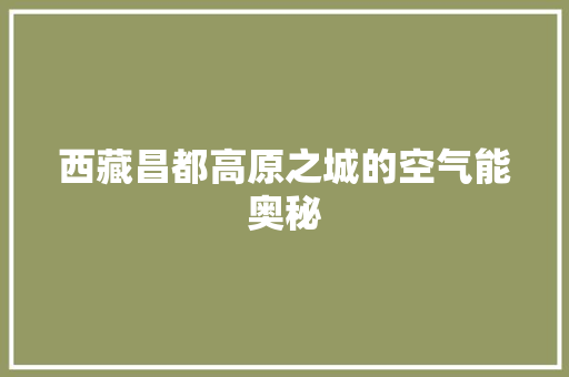 西藏昌都高原之城的空气能奥秘 综合便民