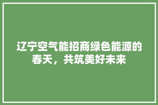 辽宁空气能招商绿色能源的春天，共筑美好未来 墙体维修
